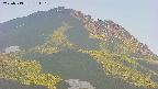 area4-20250713181108.jpg