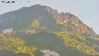 area4-20250713183108.jpg