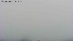 area4-20250714091106.jpg