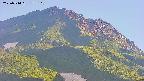 area4-20250714175111.jpg