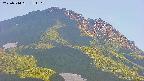 area4-20250714181111.jpg