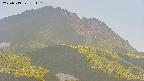 area4-20250719181110.jpg