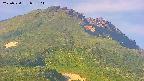 area4-20250720053106.jpg