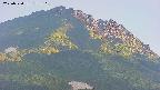 area4-20250720175108.jpg