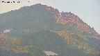area4-20250723185109.jpg