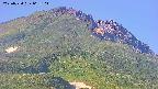 area4-20250724062105.jpg