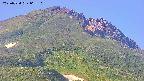 area4-20250724063107.jpg