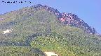 area4-20250724080109.jpg