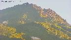 area4-20250724183107.jpg