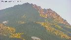 area4-20250724184110.jpg