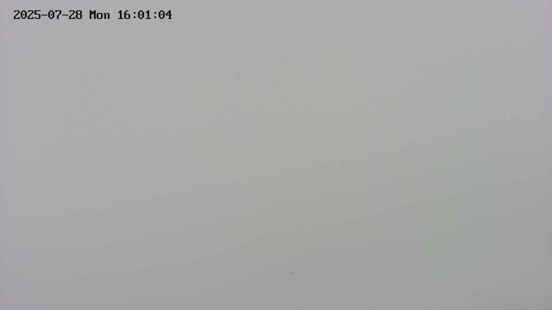 area4-20250728160105.jpg