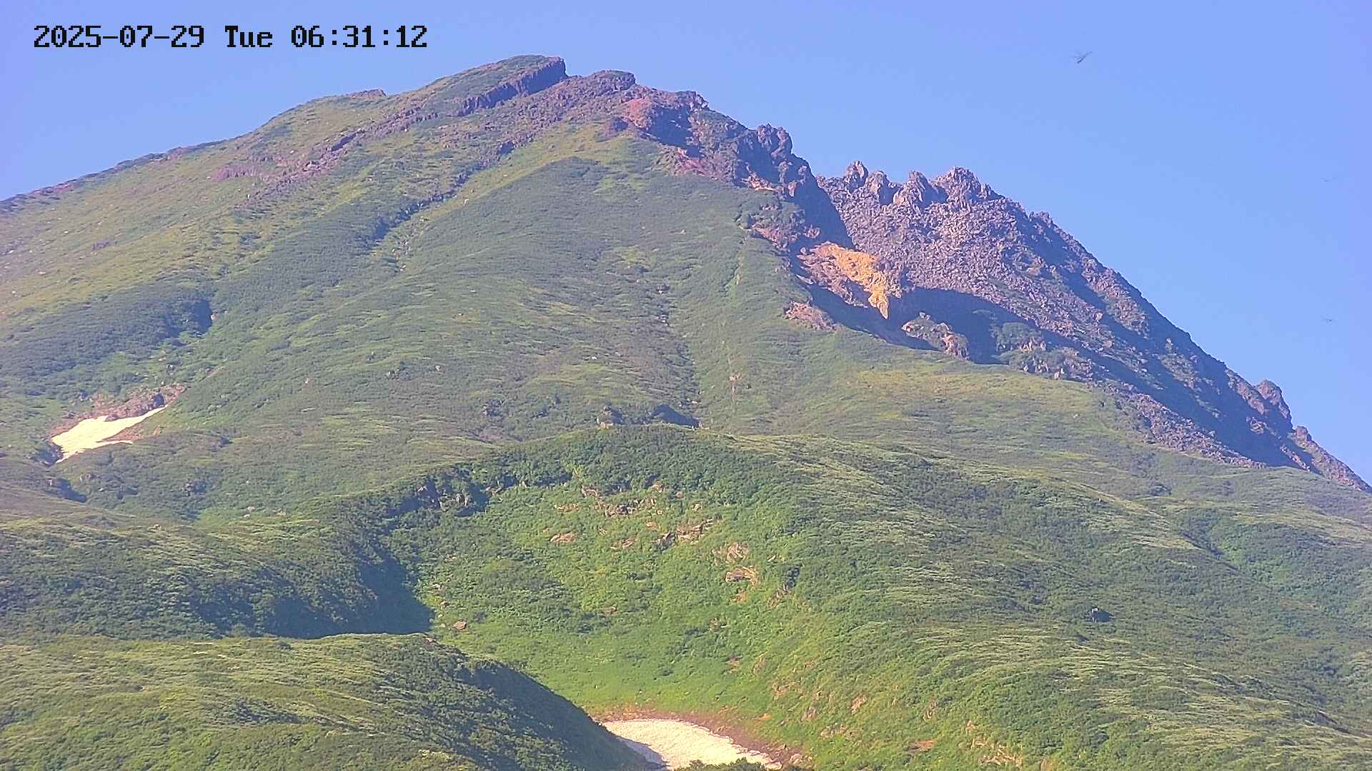 area4-20250729063116.jpg