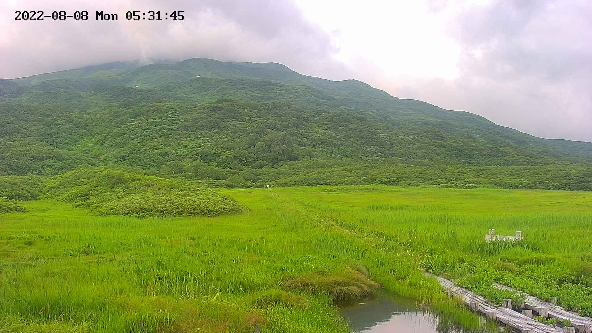 area1-20220808053148.jpg
