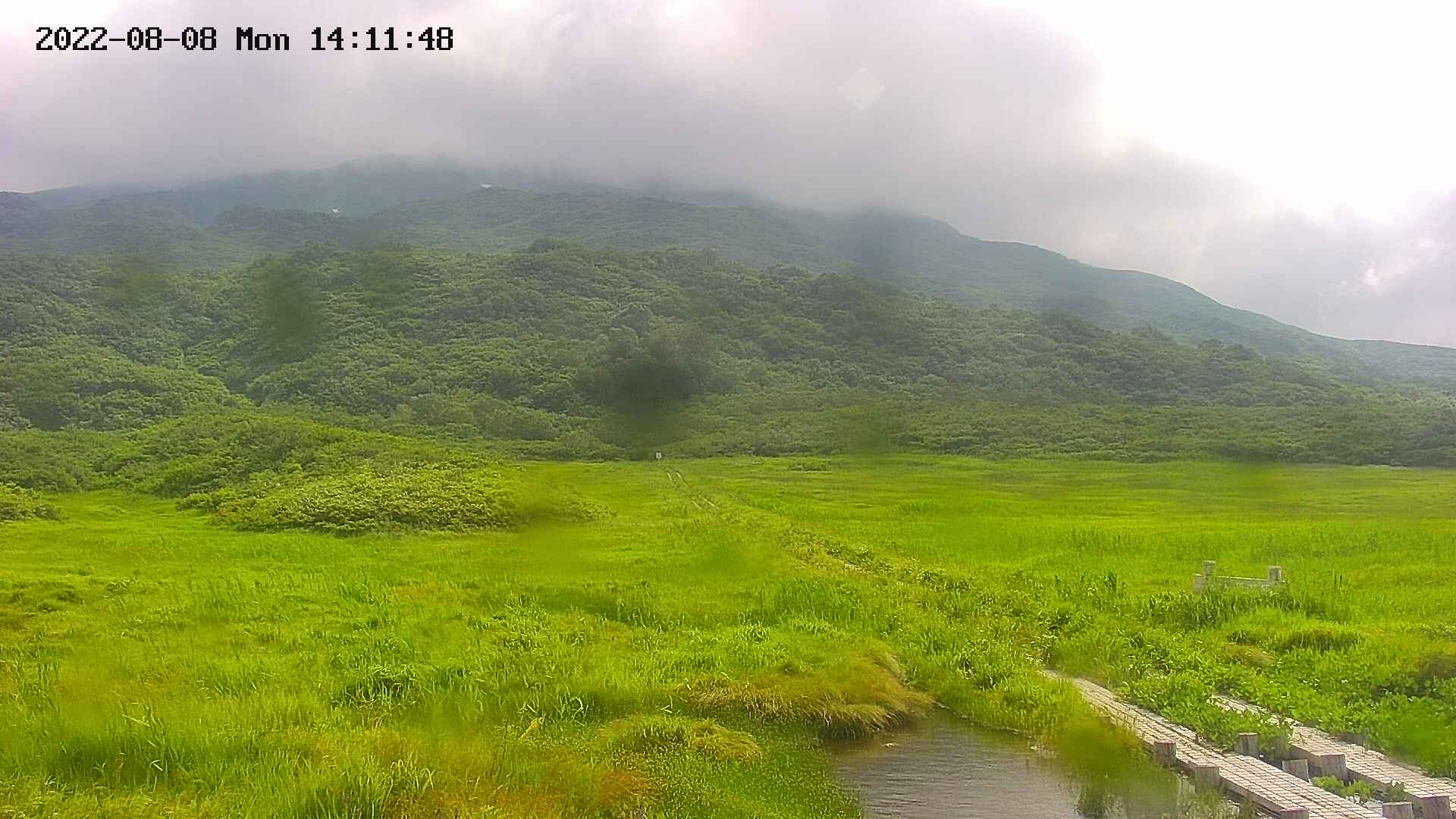 area1-20220808141150.jpg