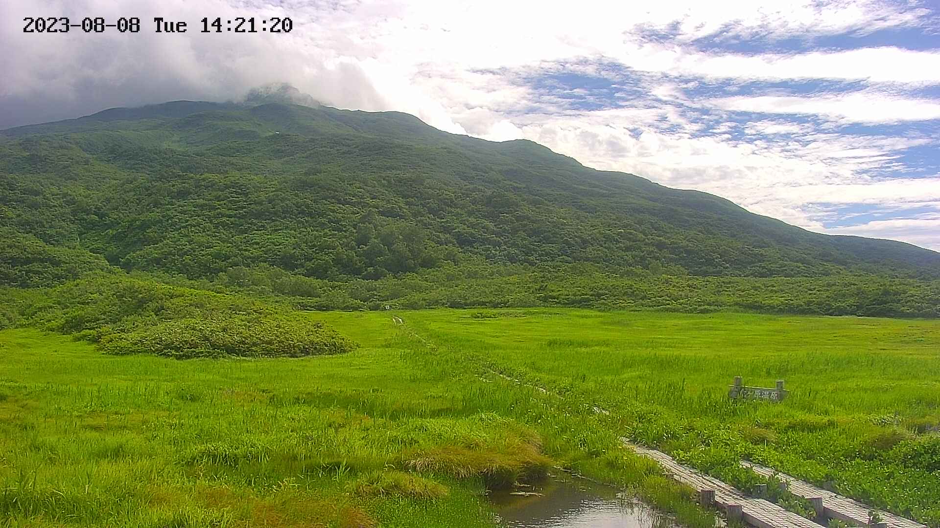 area1-20230808142150.jpg