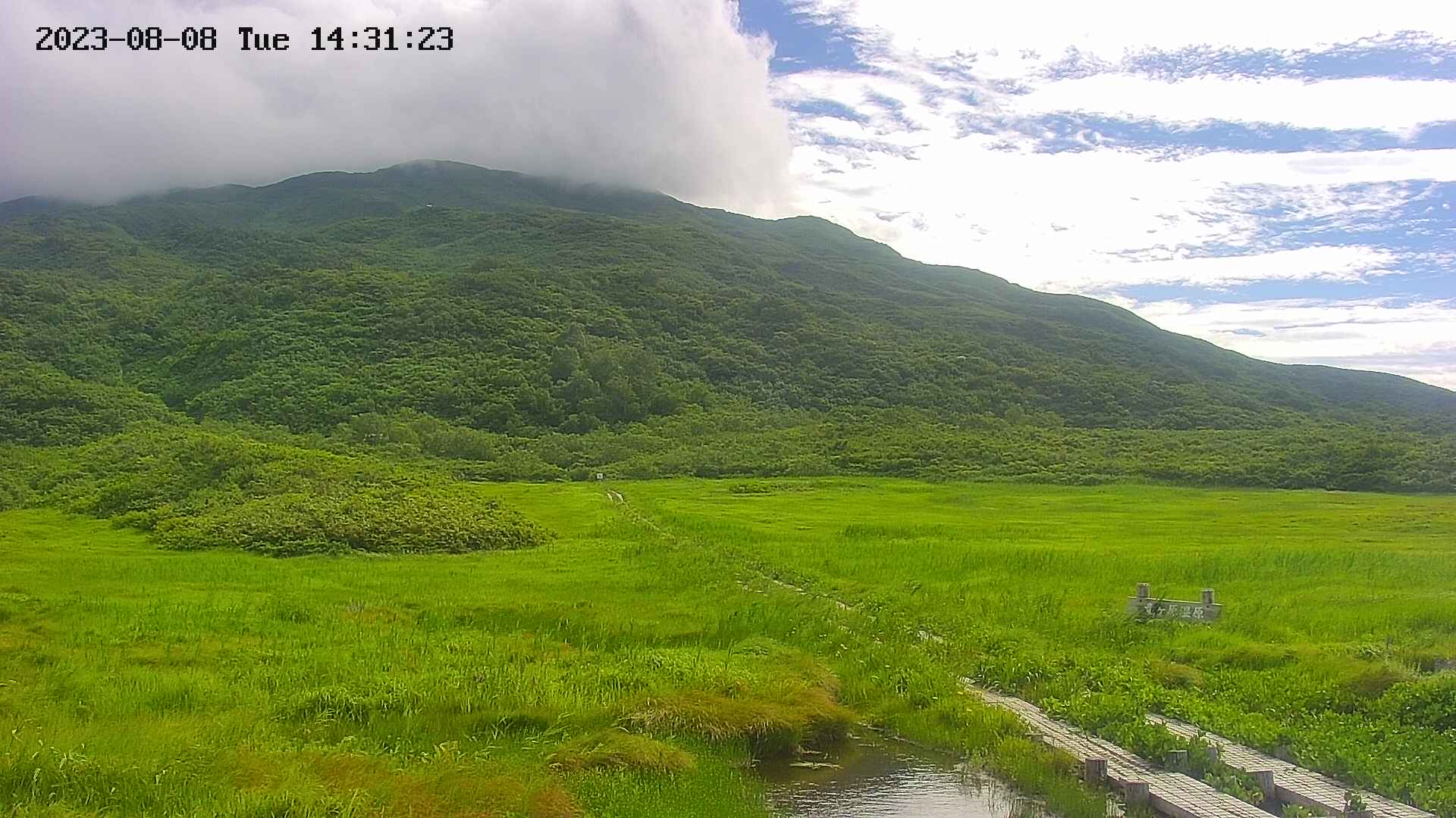 area1-20230808143150.jpg