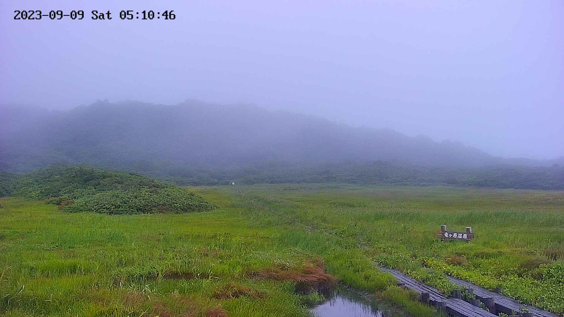 area1-20230909051048.jpg