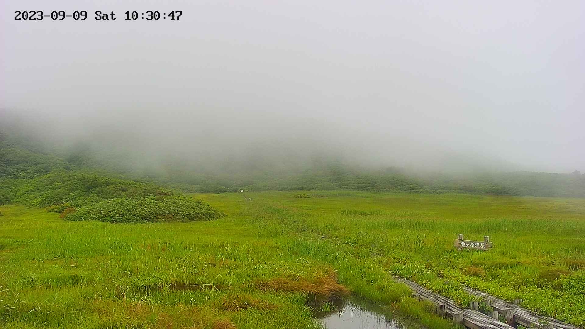 area1-20230909103048.jpg