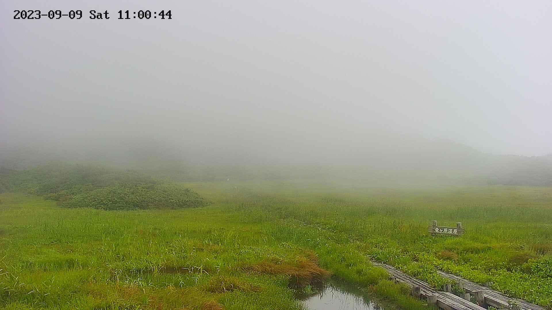 area1-20230909110045.jpg