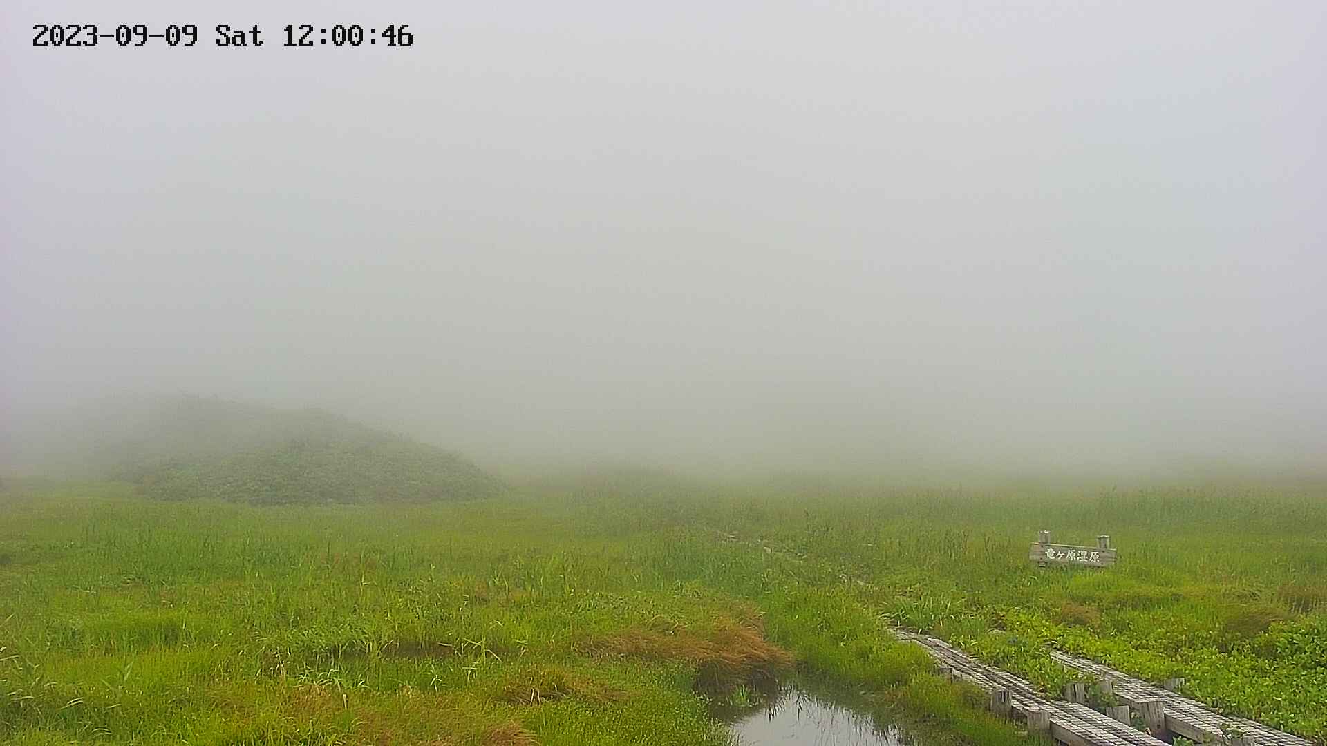 area1-20230909120047.jpg