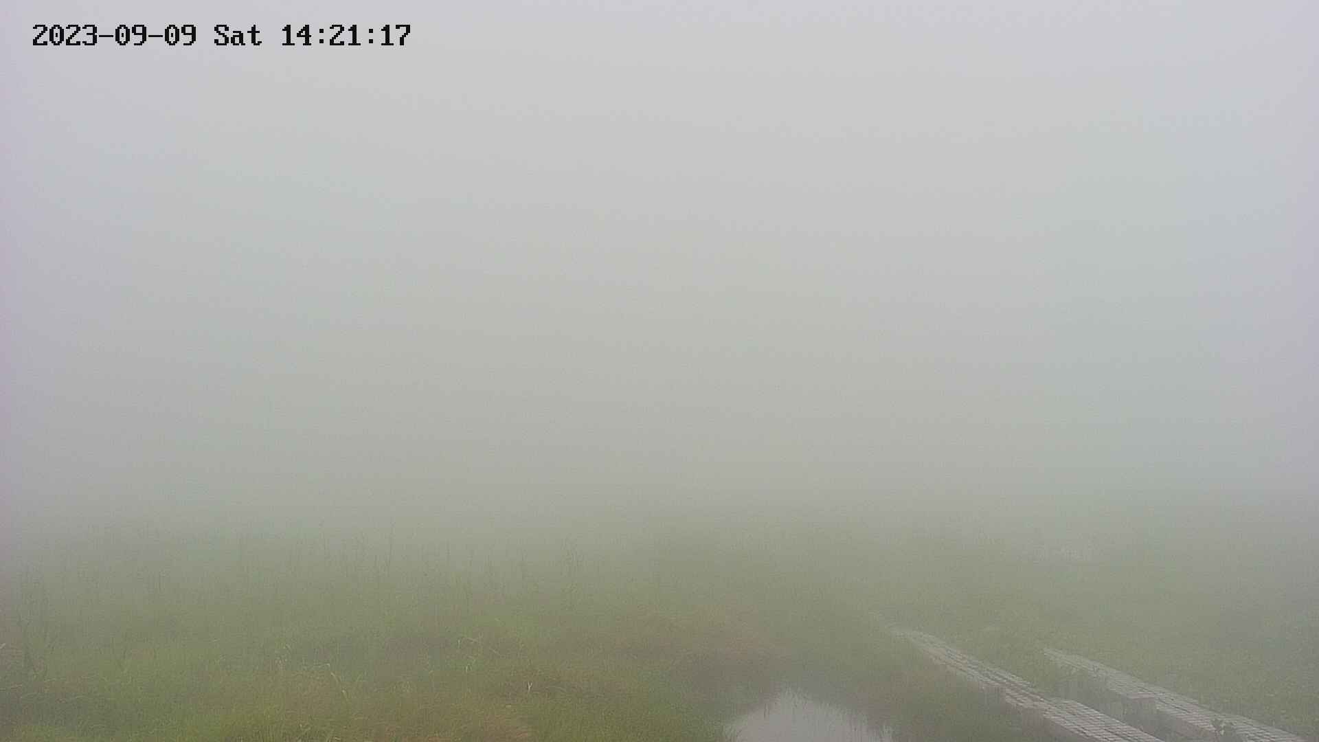 area1-20230909142127.jpg