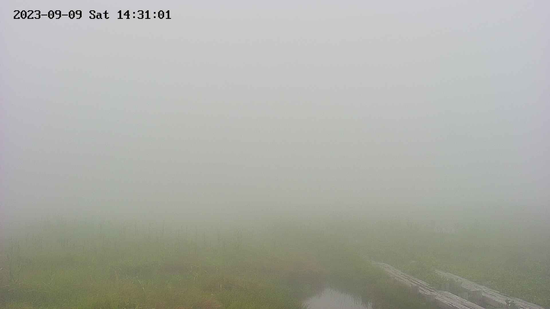 area1-20230909143108.jpg