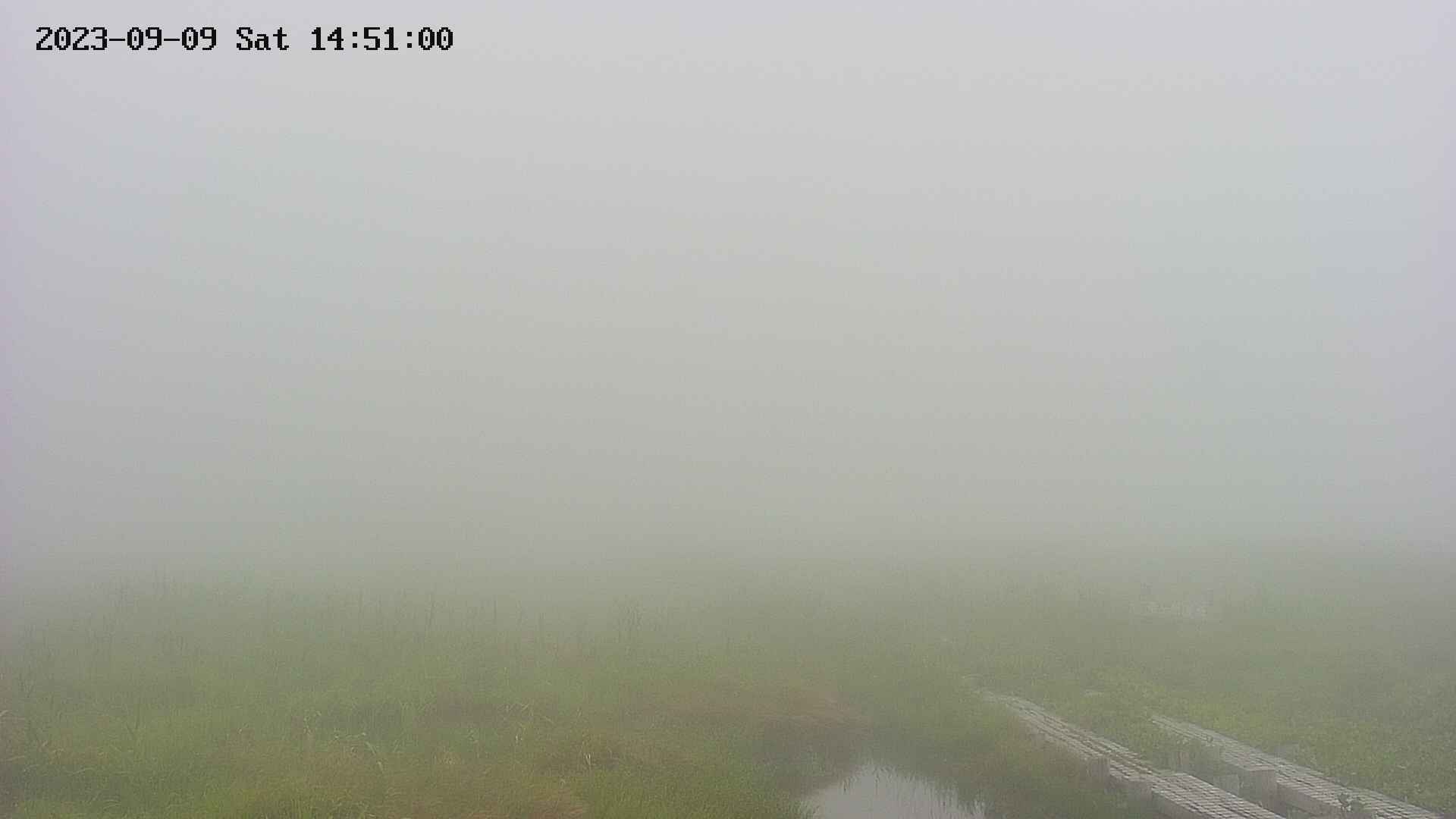 area1-20230909145105.jpg