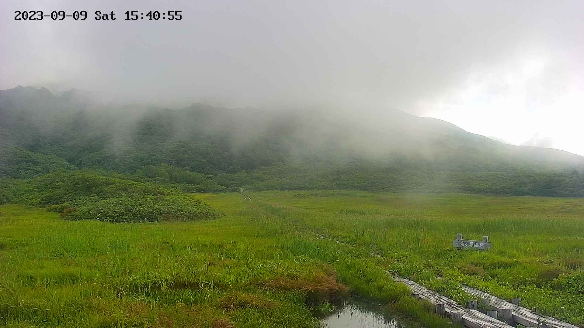 area1-20230909154059.jpg