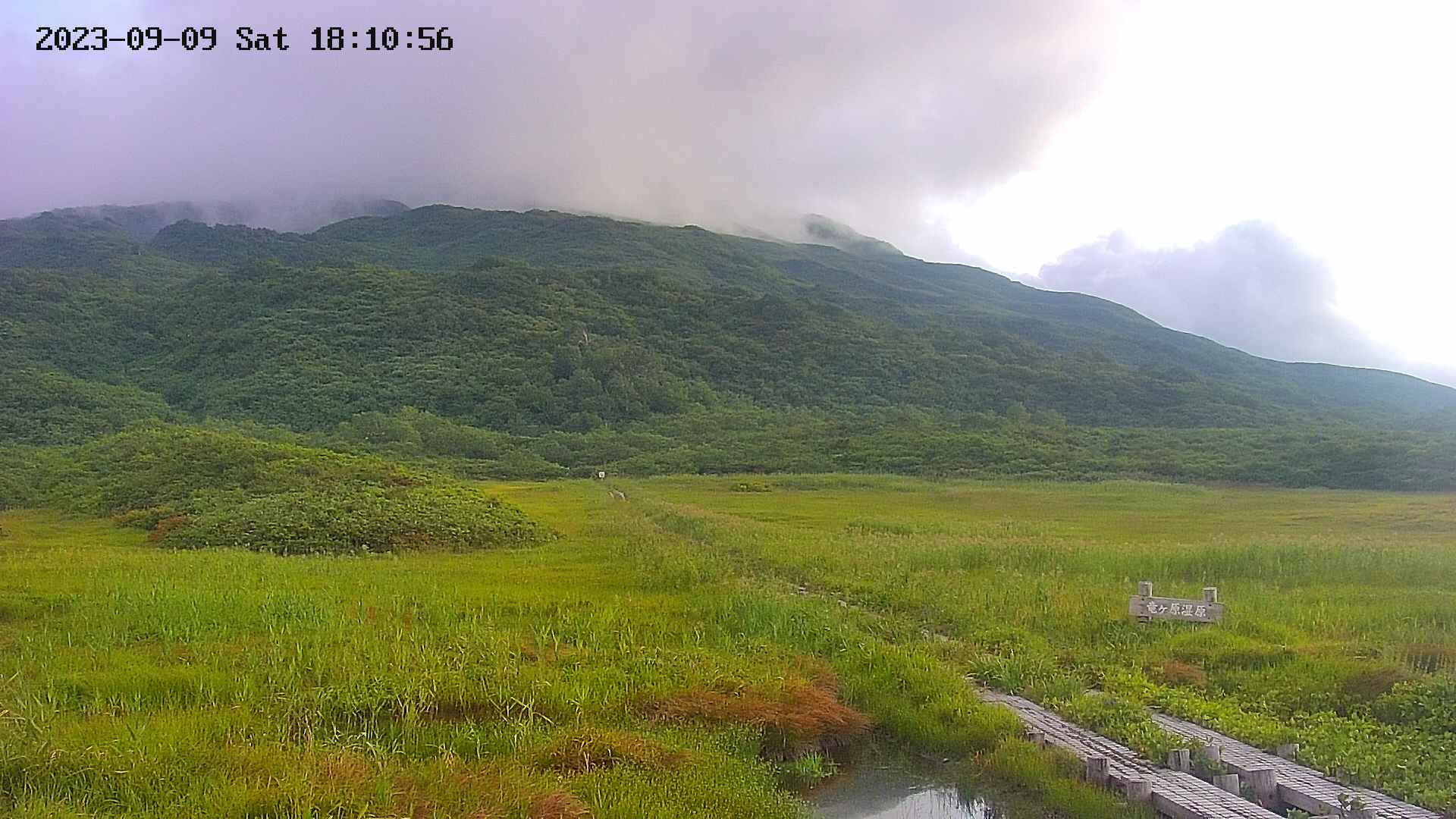 area1-20230909181102.jpg