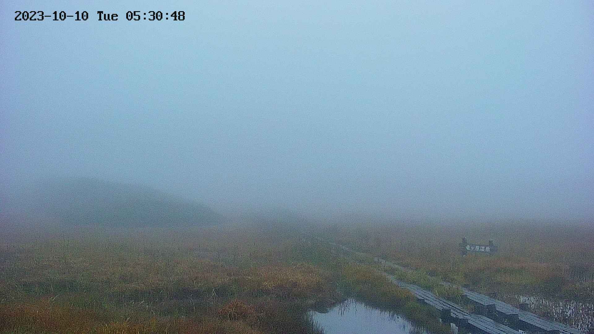 area1-20231010053051.jpg