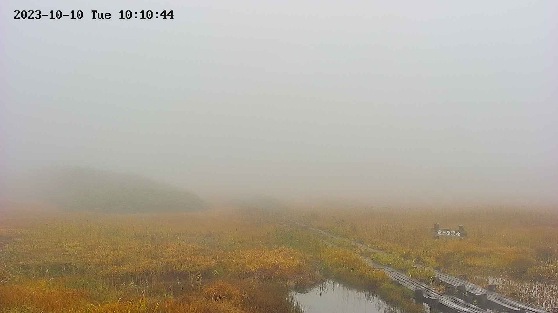 area1-20231010101045.jpg