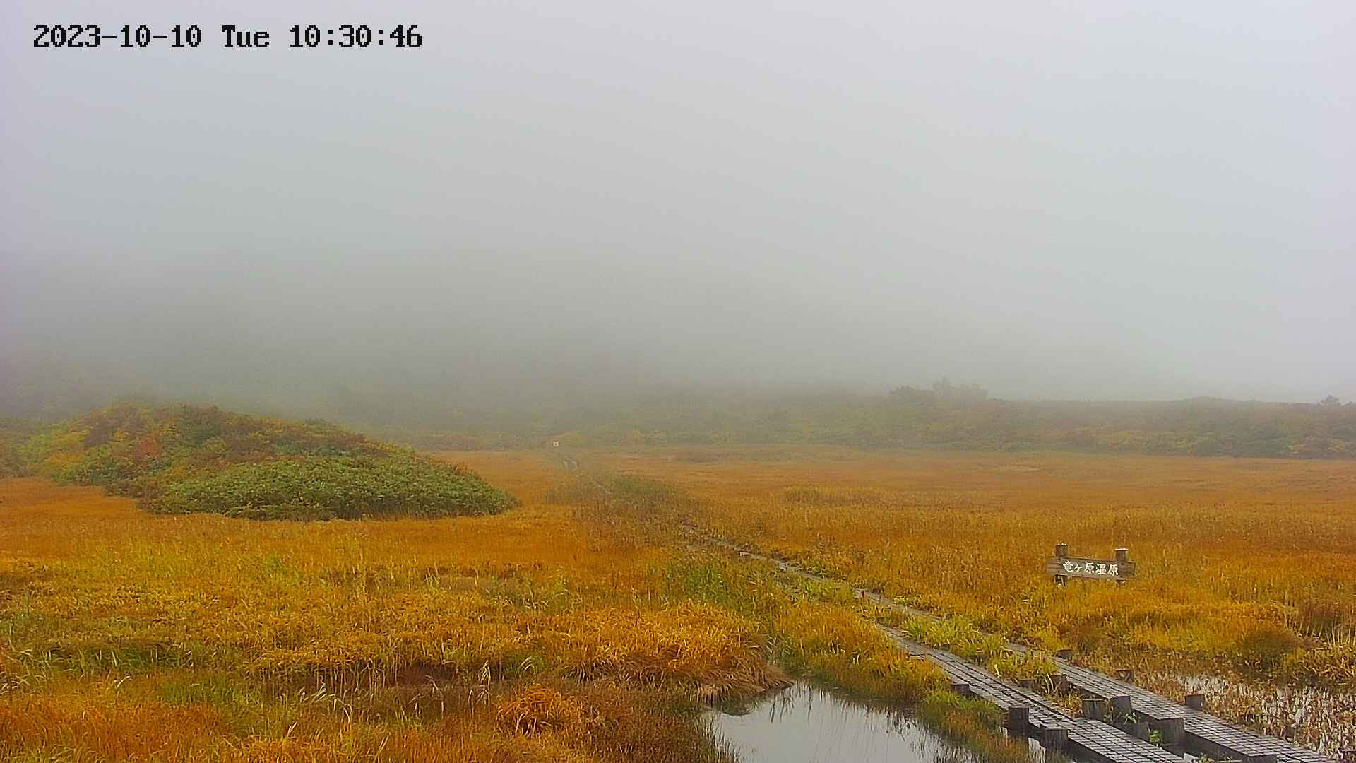 area1-20231010103047.jpg