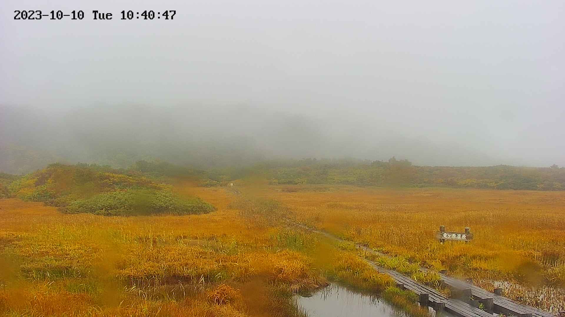 area1-20231010104049.jpg