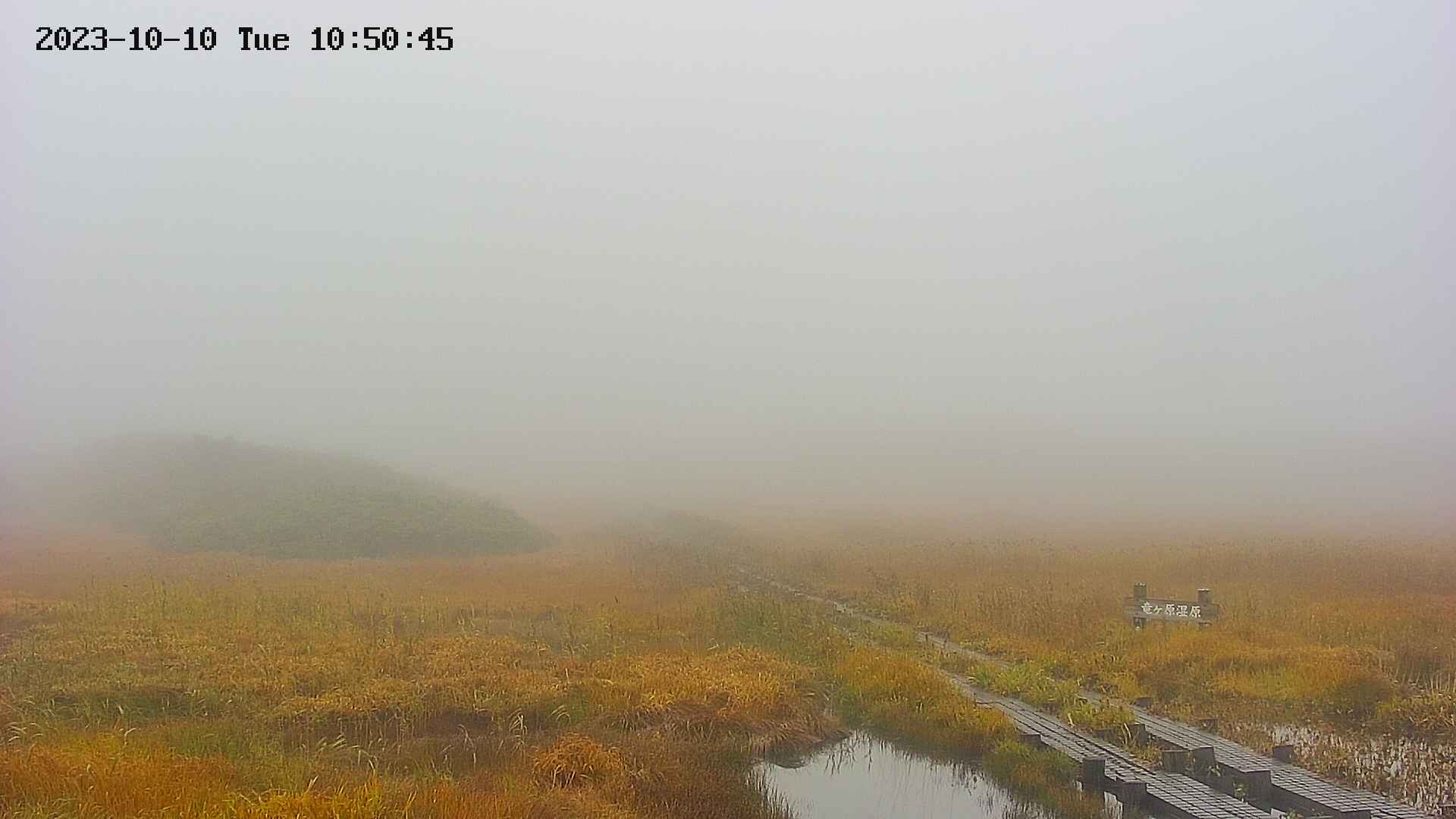 area1-20231010105047.jpg