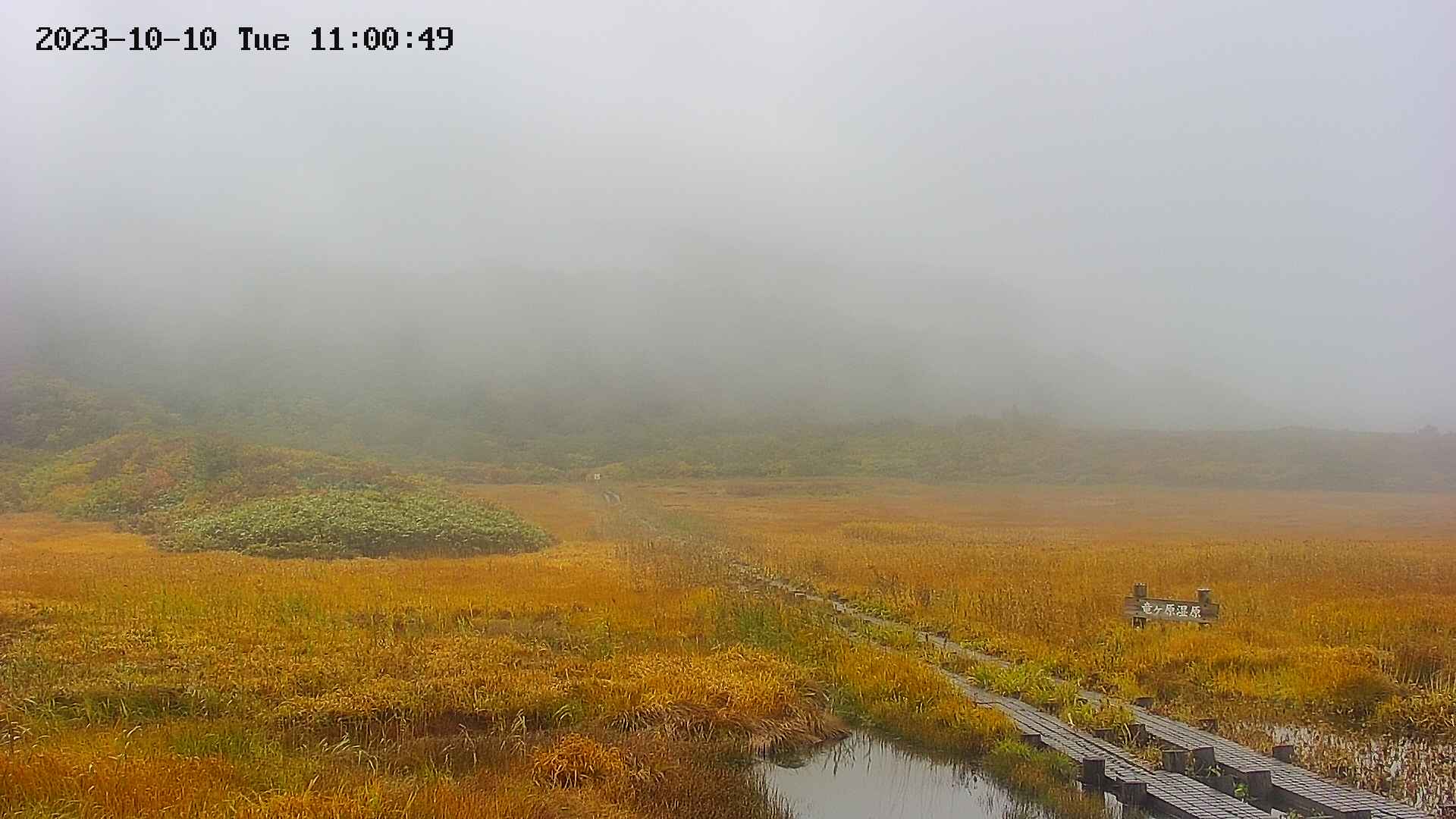 area1-20231010110051.jpg