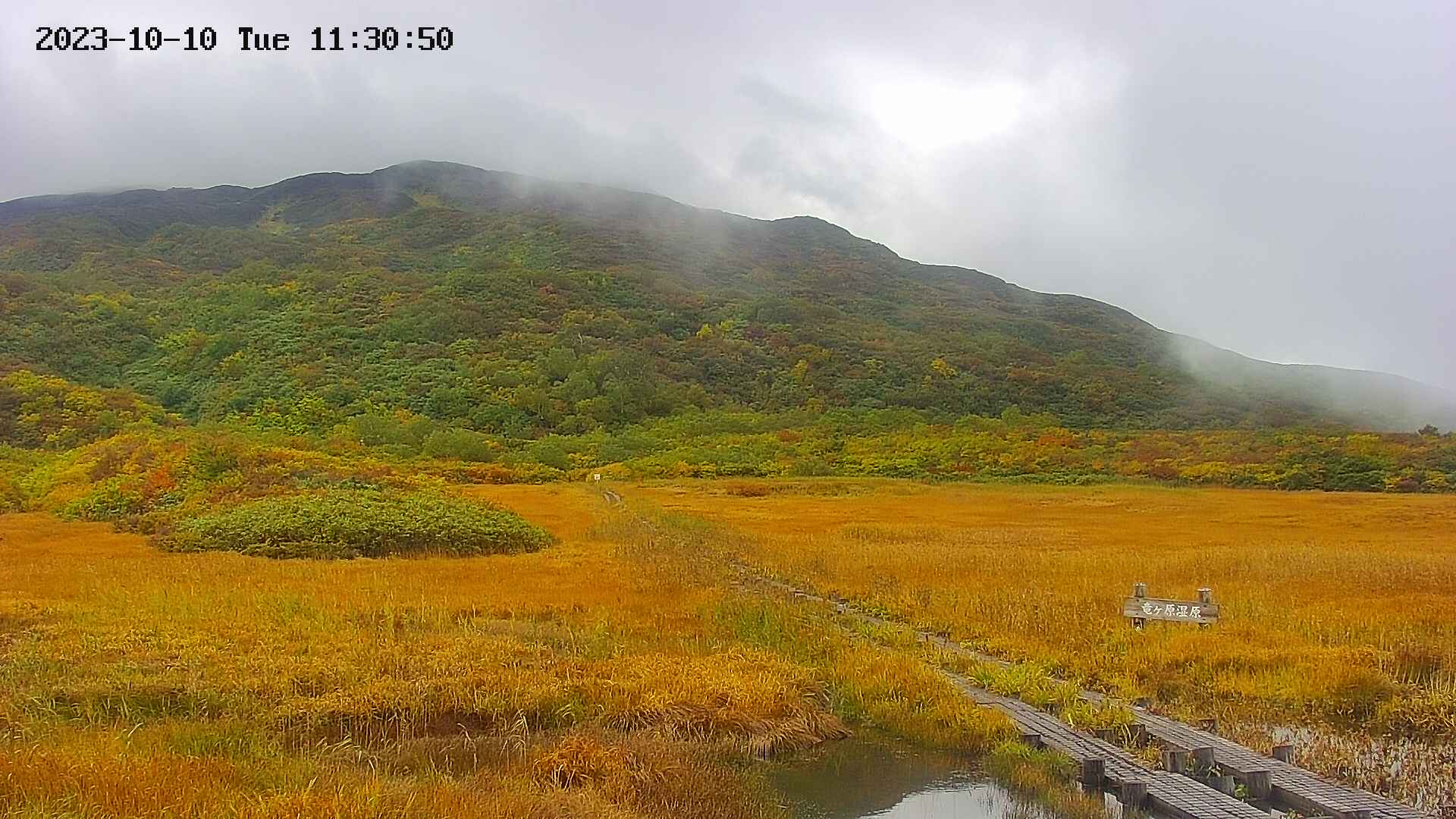 area1-20231010113053.jpg
