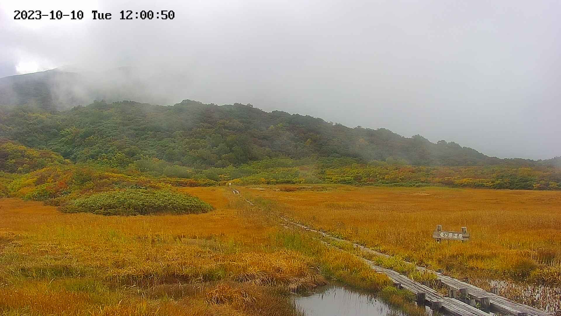 area1-20231010120053.jpg