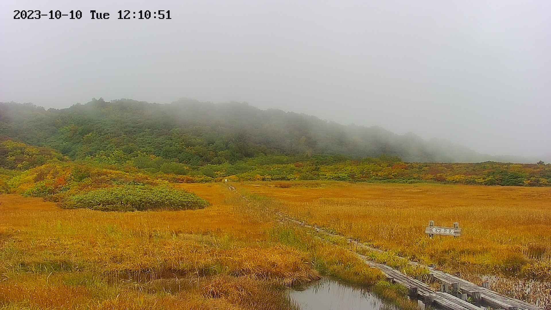 area1-20231010121055.jpg