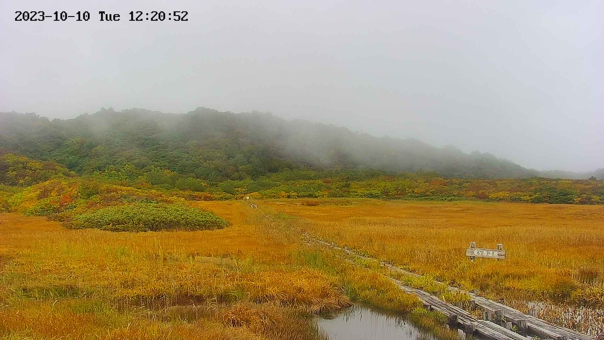 area1-20231010122057.jpg