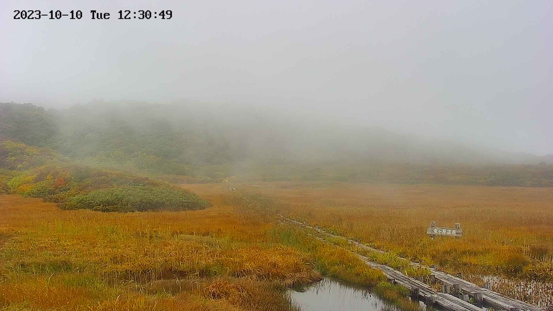 area1-20231010123051.jpg