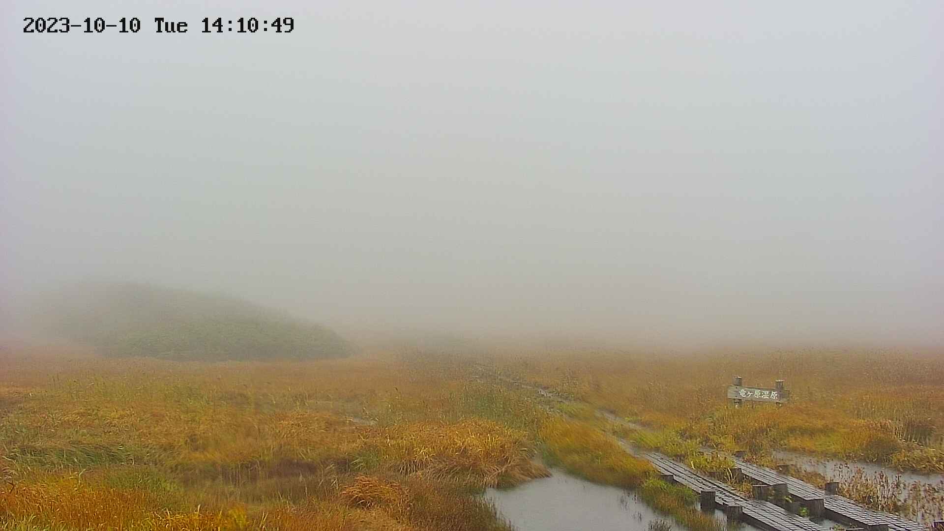 area1-20231010141052.jpg
