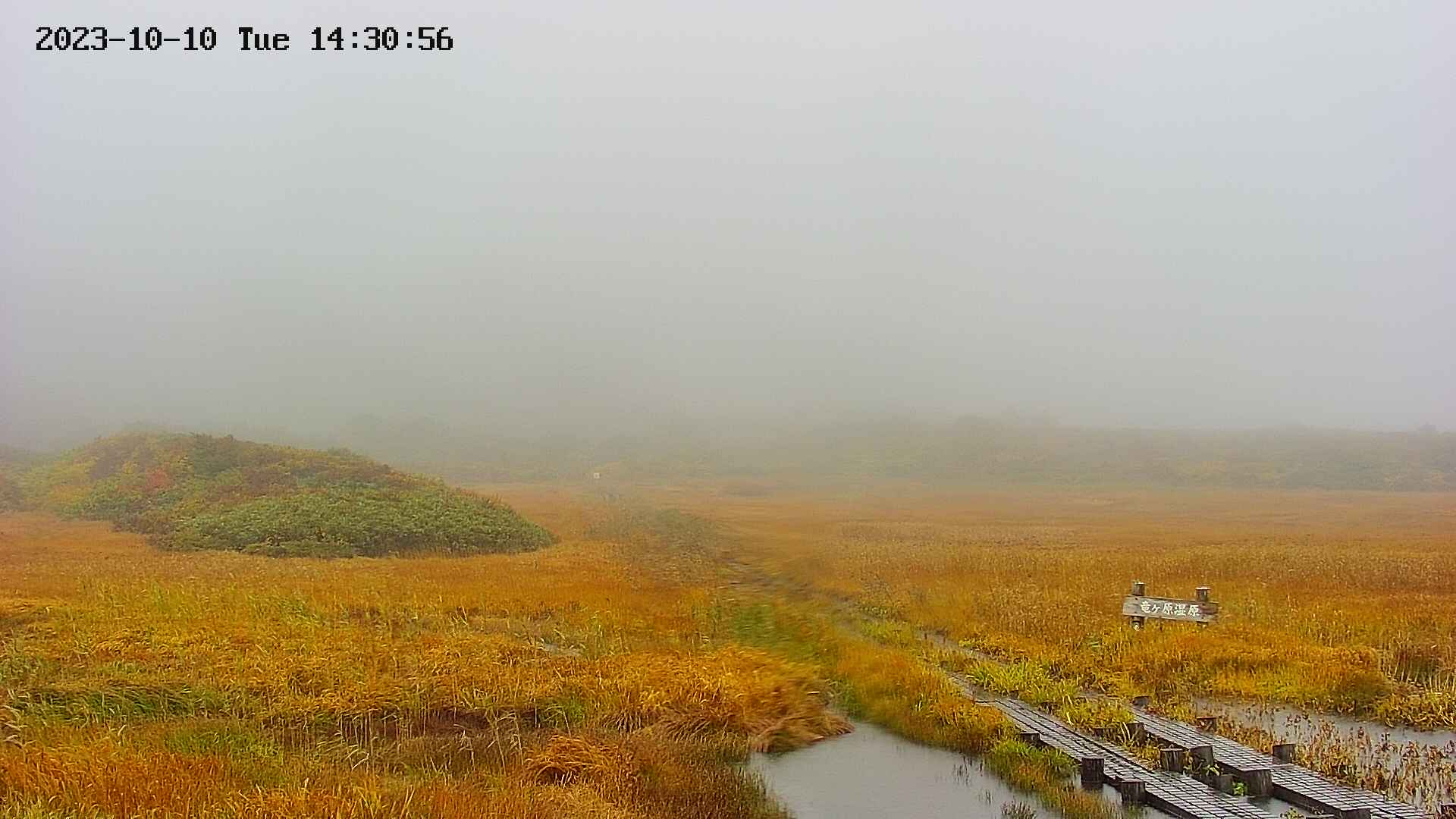 area1-20231010143100.jpg