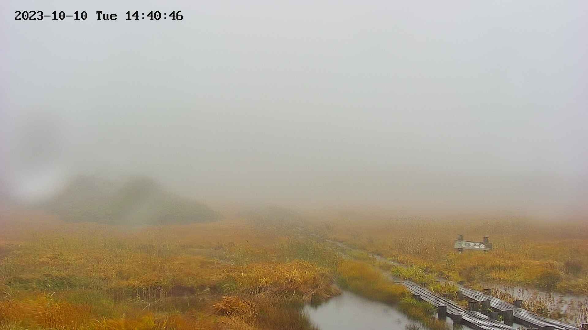 area1-20231010144048.jpg