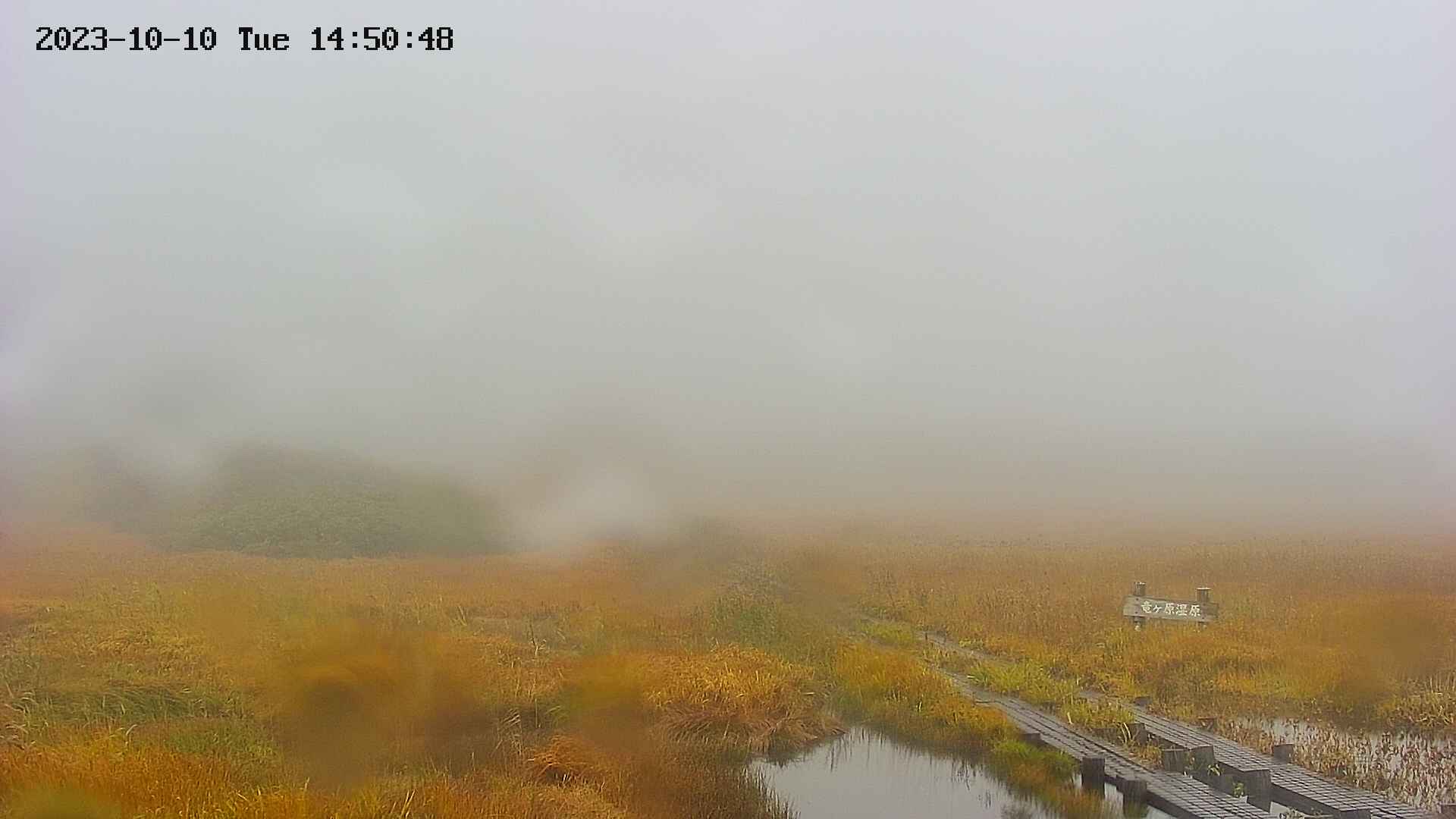 area1-20231010145050.jpg