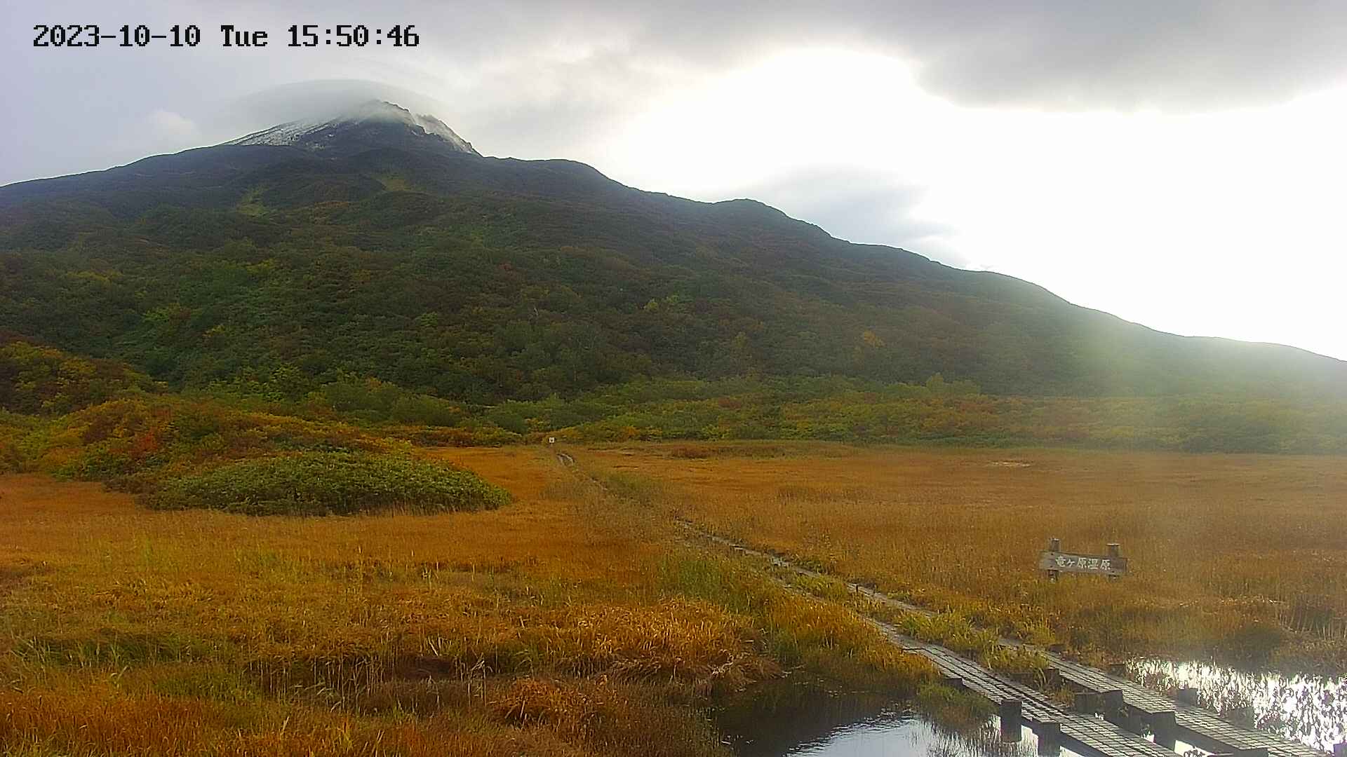 area1-20231010155047.jpg