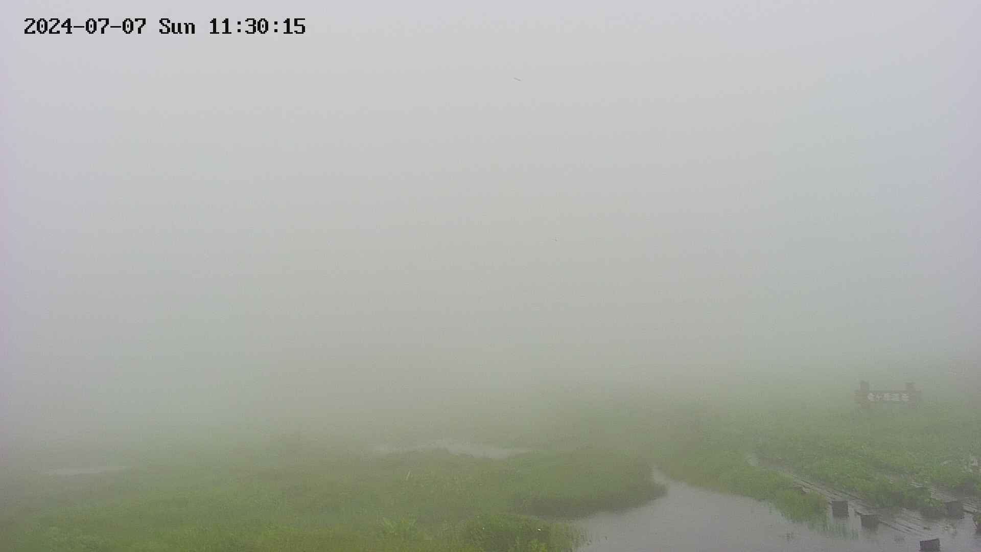 area1-20240707113016.jpg