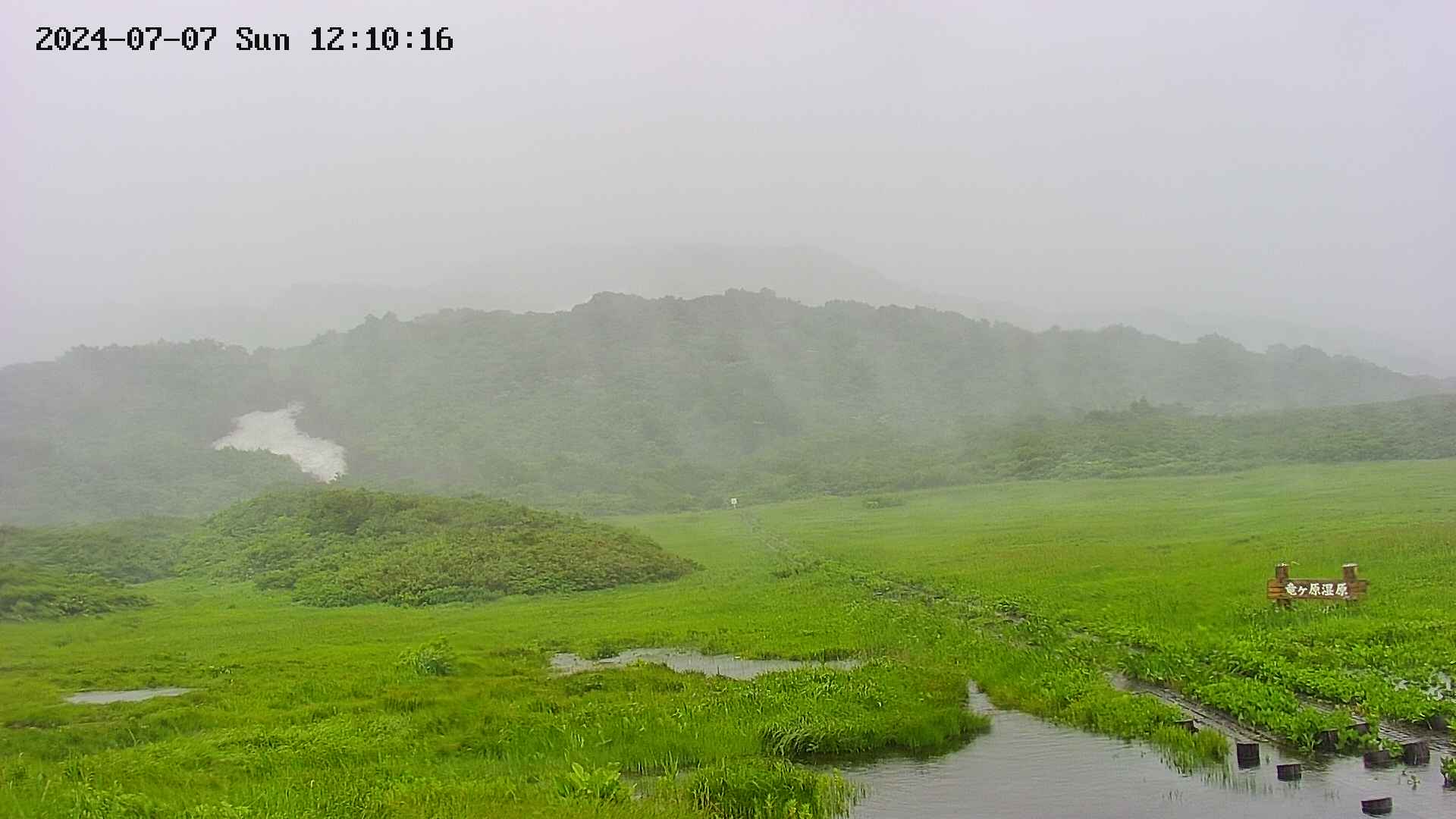 area1-20240707121017.jpg