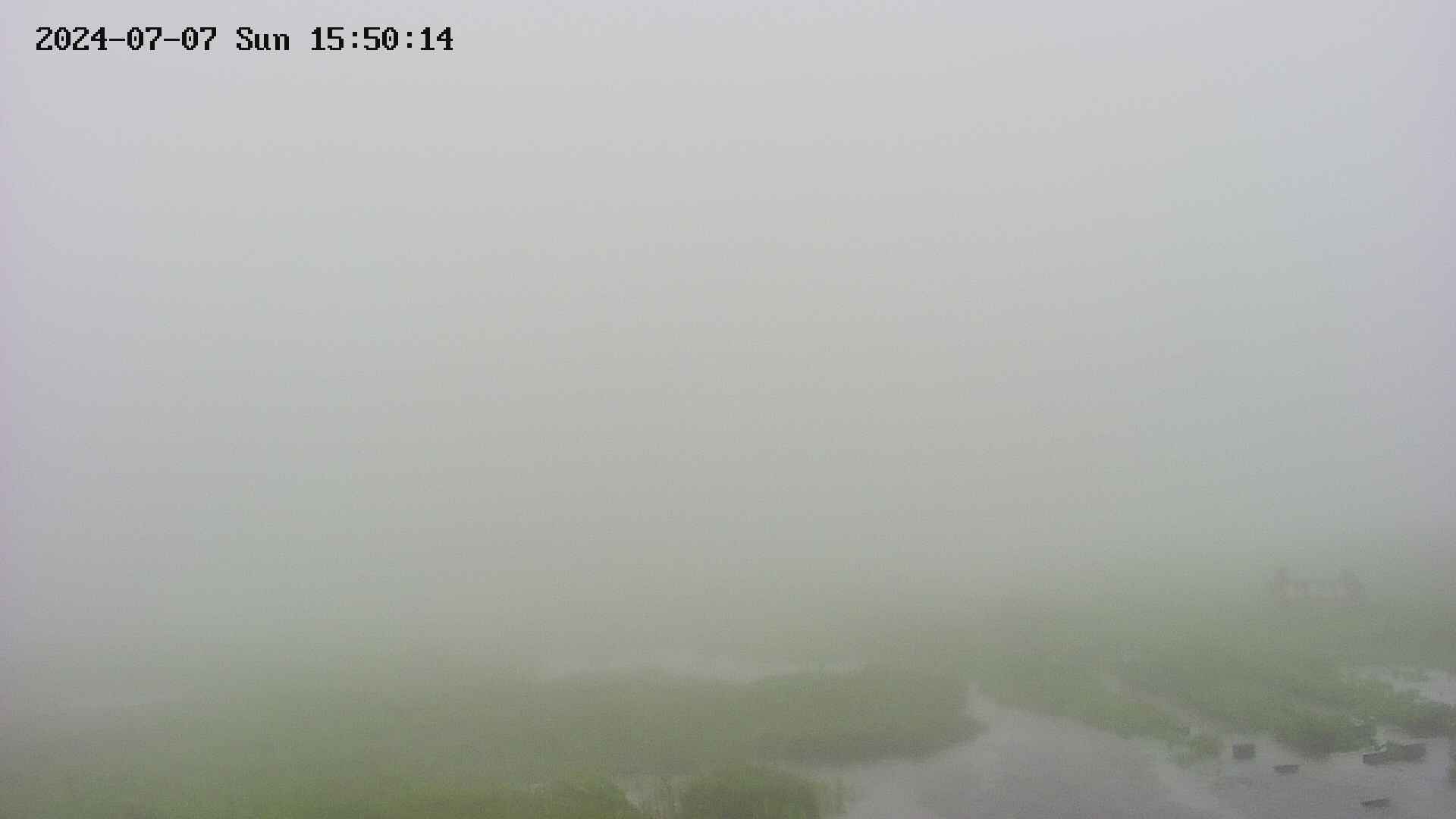 area1-20240707155014.jpg