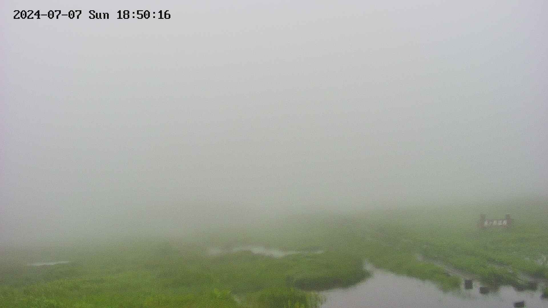 area1-20240707185017.jpg