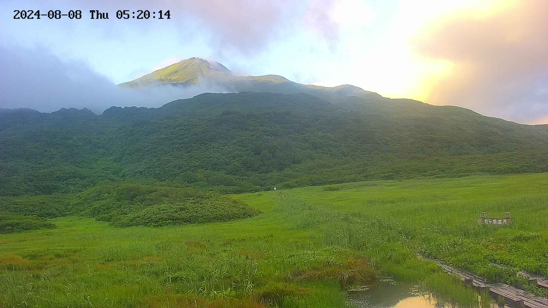 area1-20240808052015.jpg
